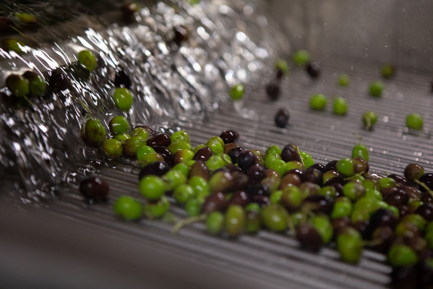 Decimi "No 51" Limited Edition Slow Food Presidio Umbria Moraiolo EVOO